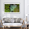 THE ONE - AERIAL PRINTS - "Water Flowers" - LIMITED EDITION 5 of 5