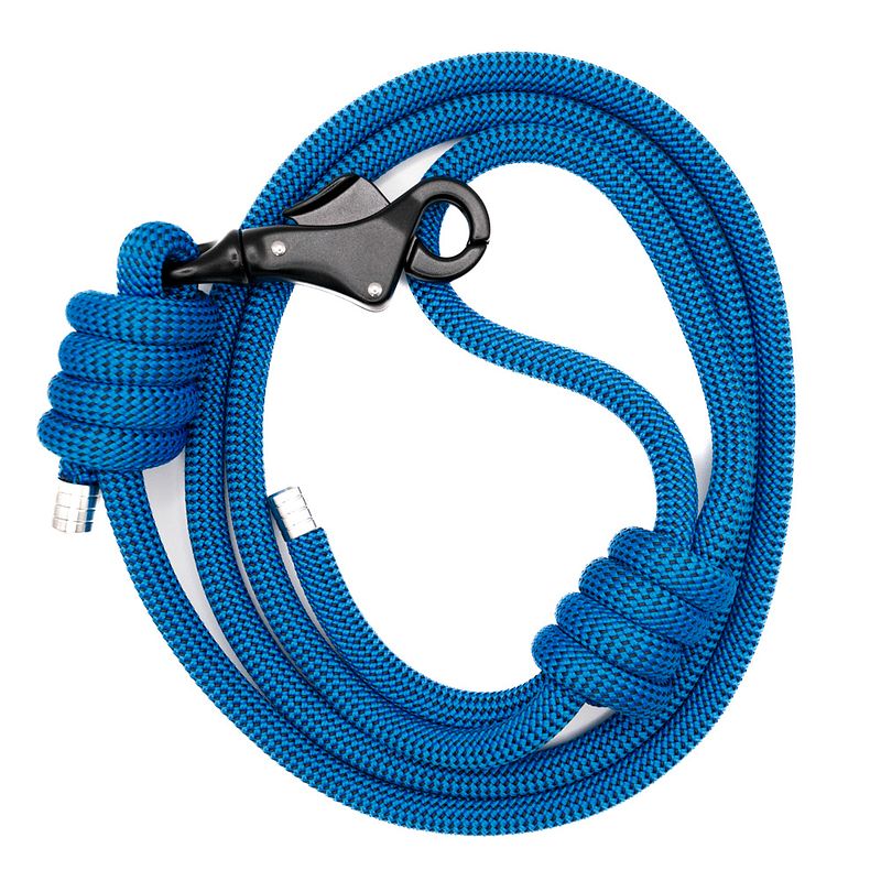 The Apex Lead™ - Buzzworthy Blue