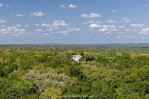 Calakmul Mayan site