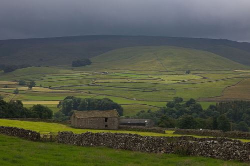 Landscapes
