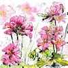Pink Geranium - Illustration Wall Art Print - Pen and Wash - Garden Flowers