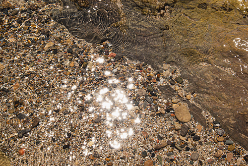 Fine Art Prints
