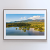 COLLECTION - FROM ABOVE HORIZONTAL - "Standing in Still Water" - LIMITED EDITION 10 of 10