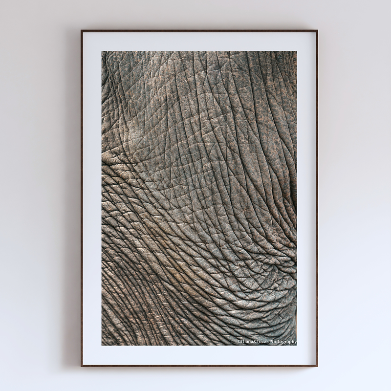 COLLECTION - GIANTS OF THE LAND VERTICAL - "Map of Skin" - LIMITED EDITION 10 of 10