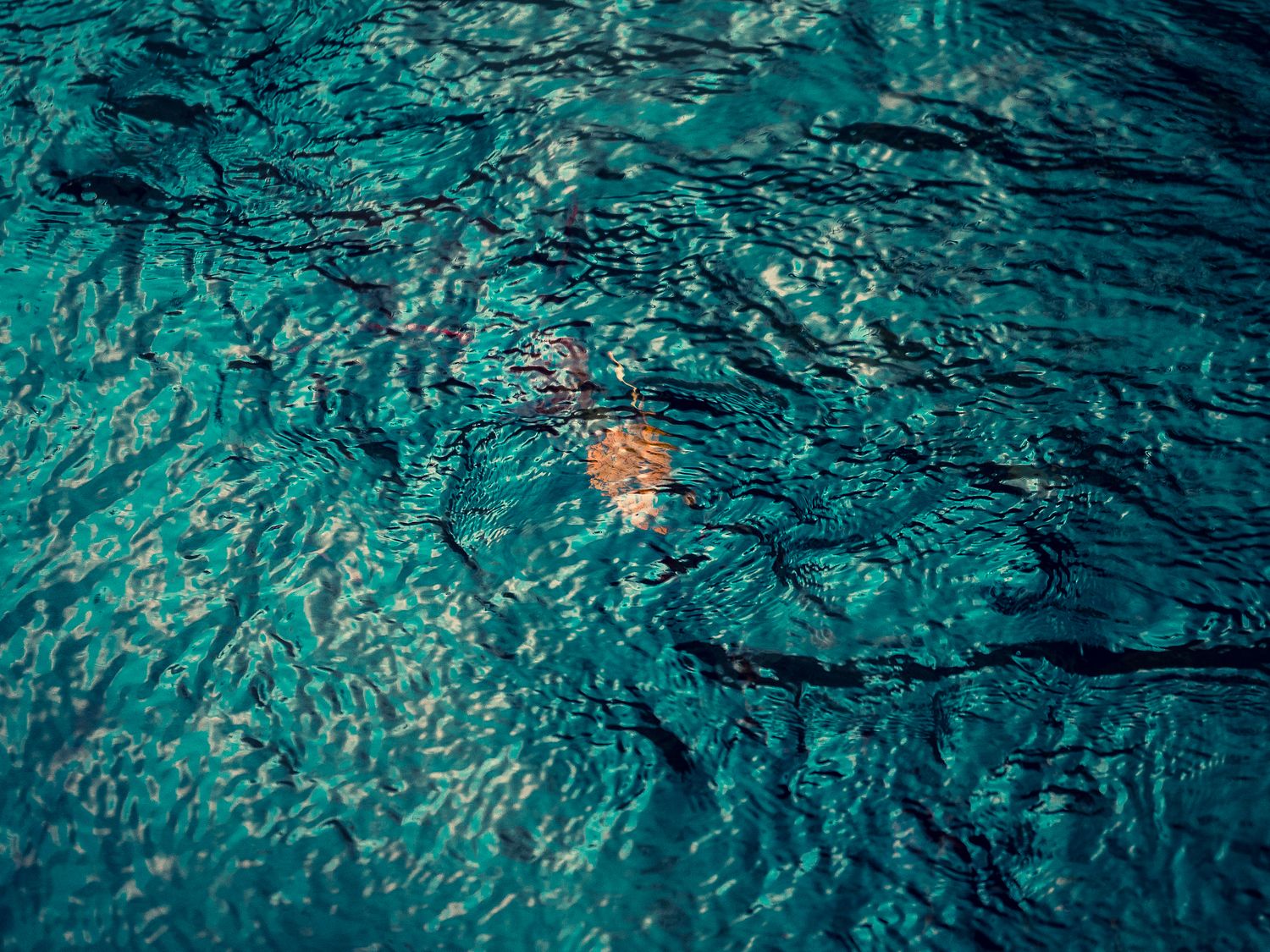 ROBERT MARTIN | Fine Art Photography