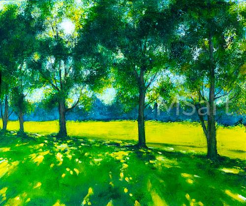 Summer sun through trees, flashes of light in shade