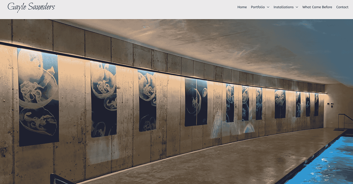 Gayle Saunders printmaker and painter portfolio website