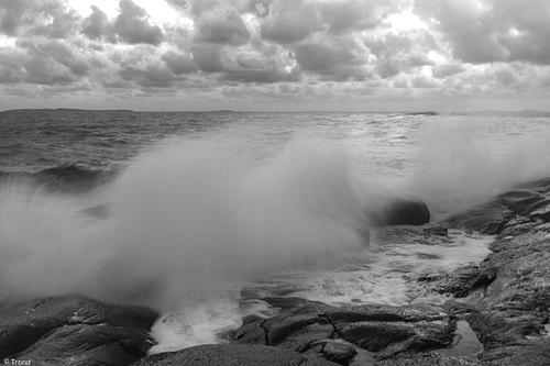 Nature & Landscape Gallery 2