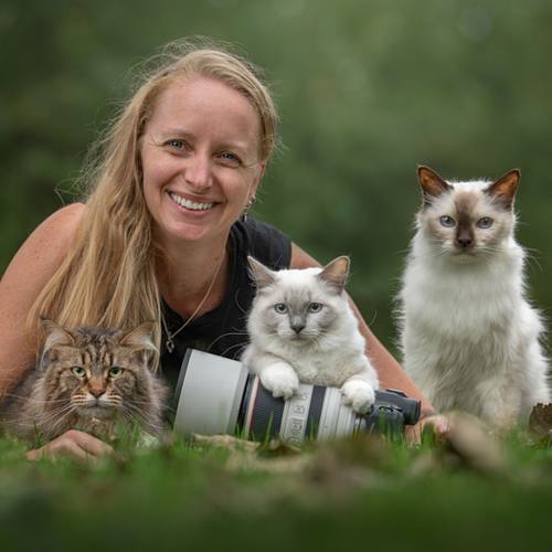Een blijvende herinnering aan kat of kitten