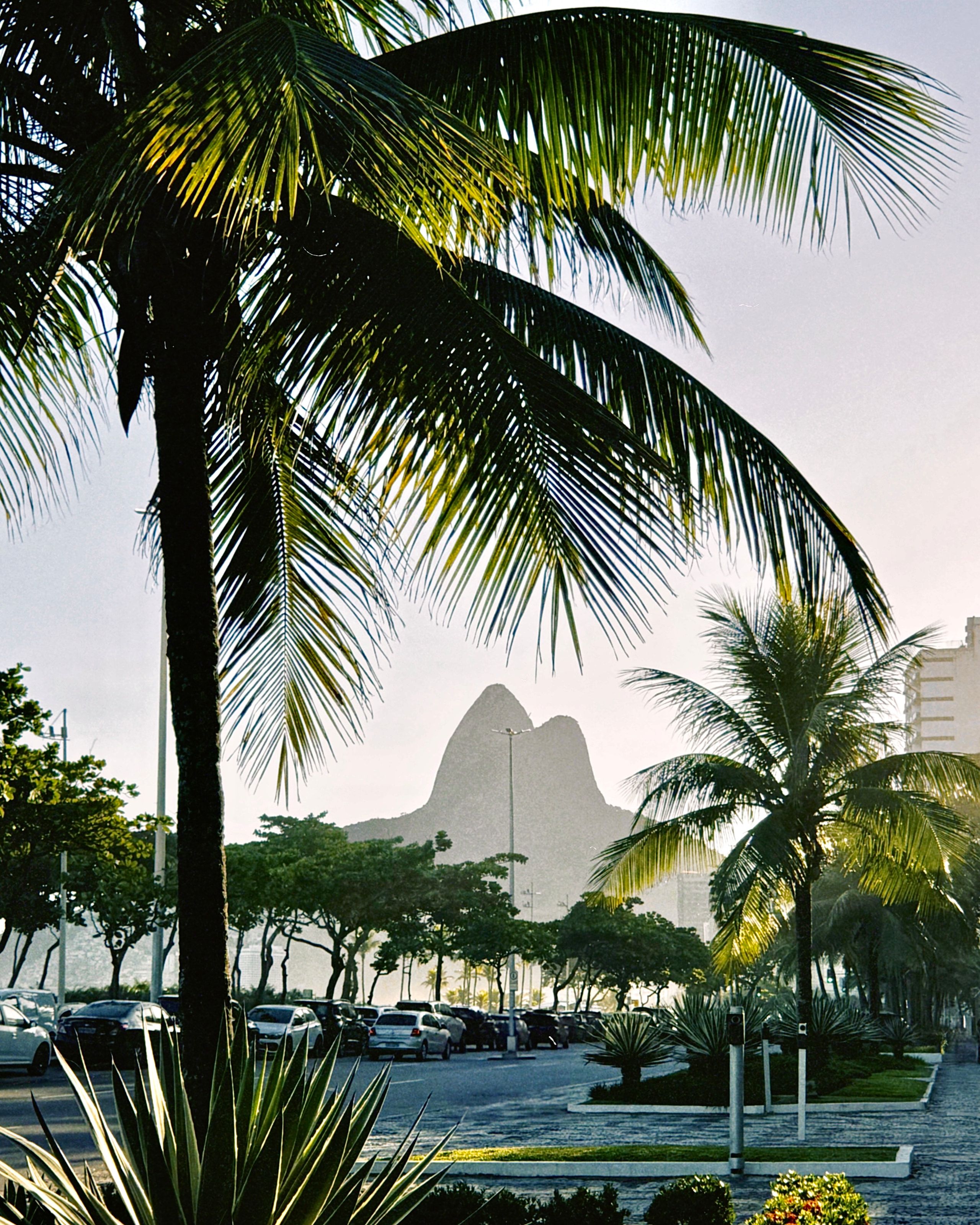 TRAVEL