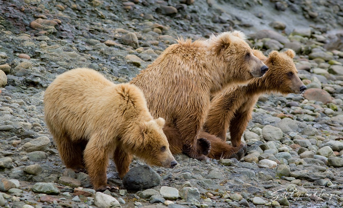 Three Lookouts