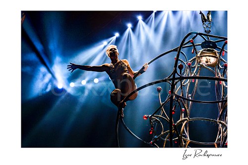 Horizontal color image of Pink perched on a suspended stage structure with one arm outstretched under bright blue concert beams
