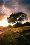 The Sunset