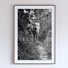 COLLECTION - GIANTS OF THE LAND VERTICAL -  "Hidden" - LIMITED EDITION 9 of 10