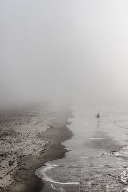 Lone Surfer in the Fog on a Beach