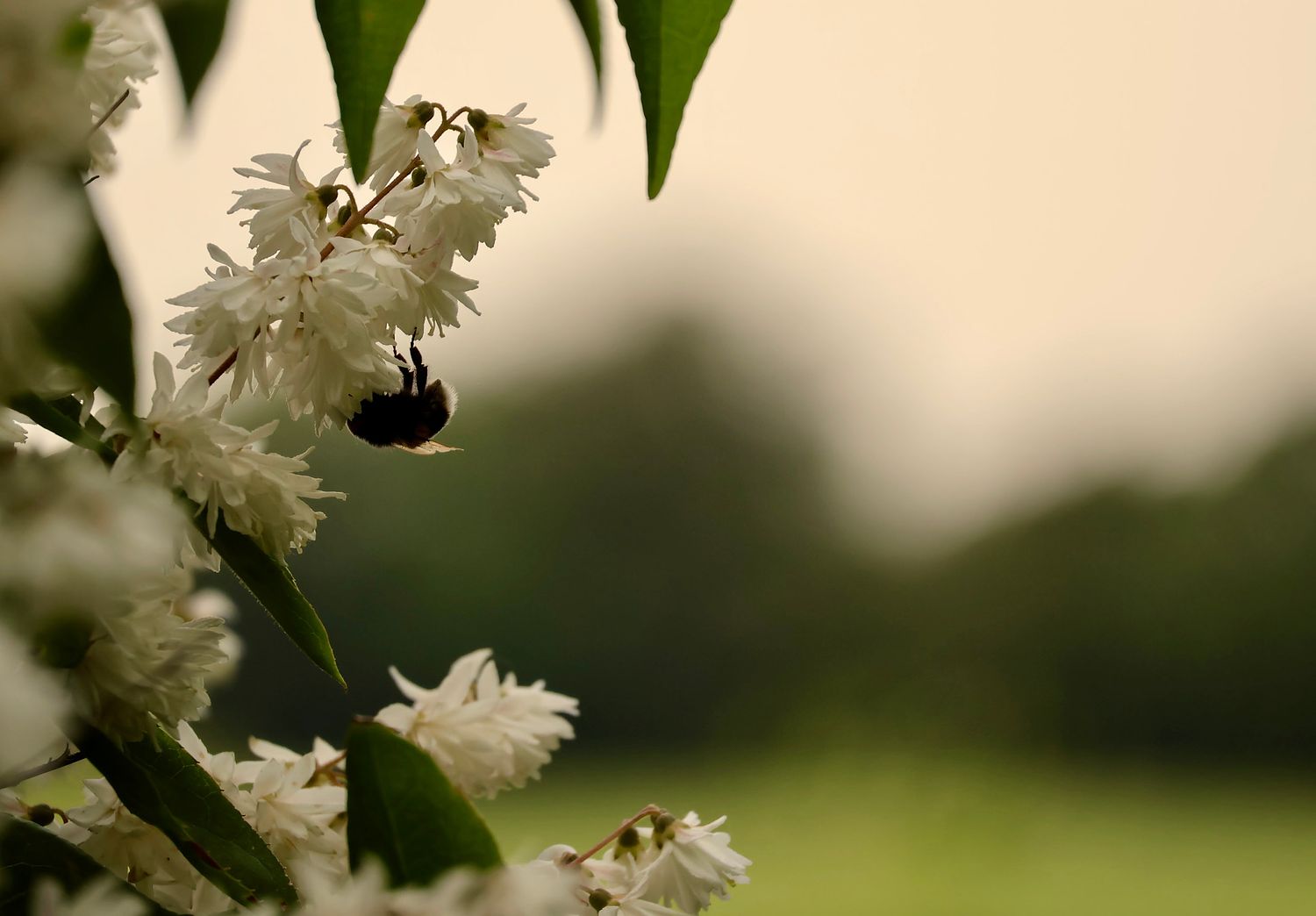 Hannah Brown Photography