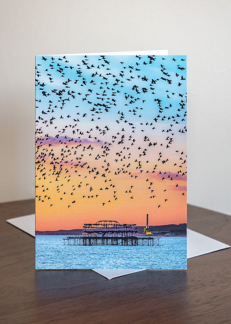 Brighton Starling Murmuration Greeting Cards (6 pack)