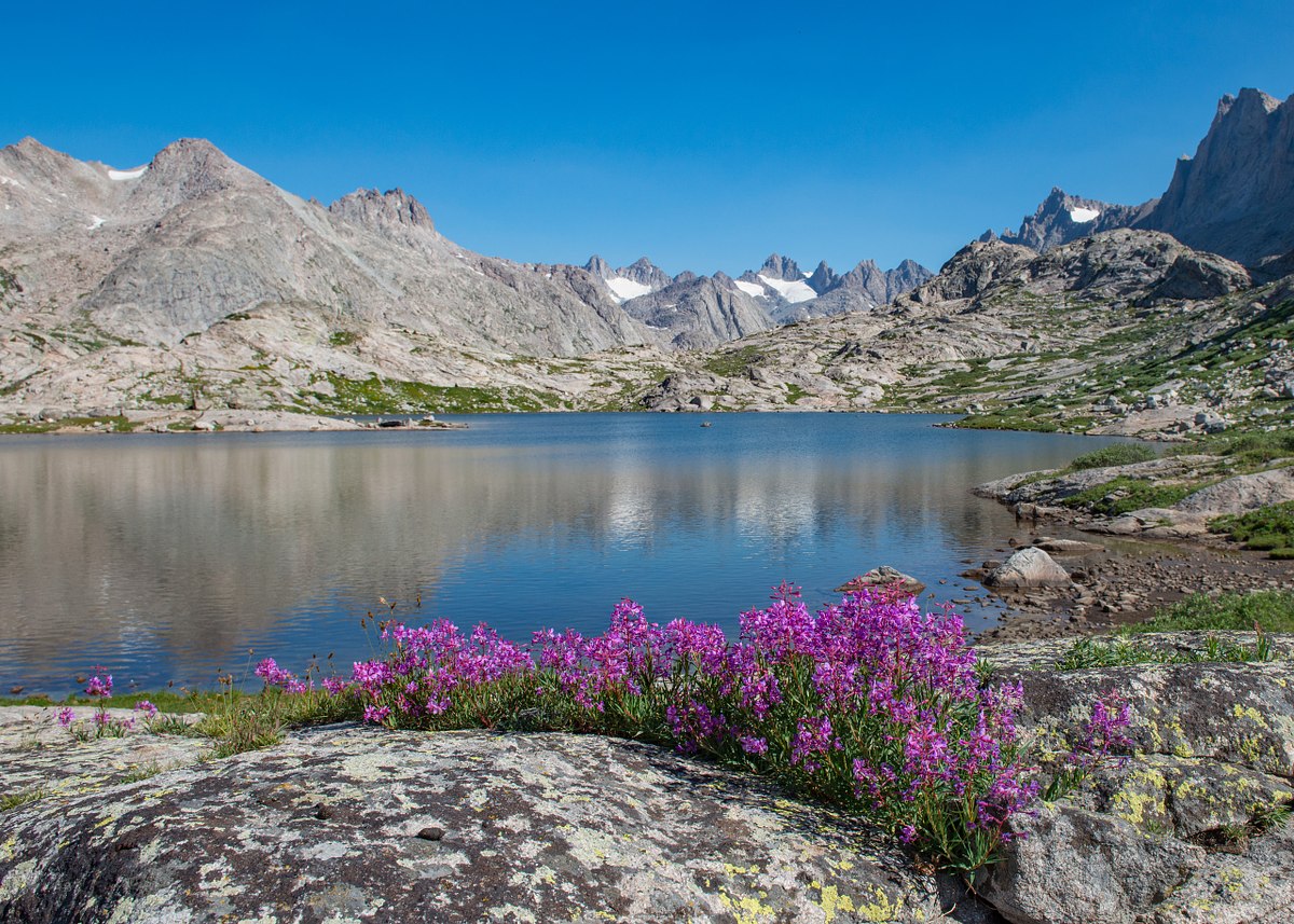 Titcomb-Basin-Floral-Arrangement