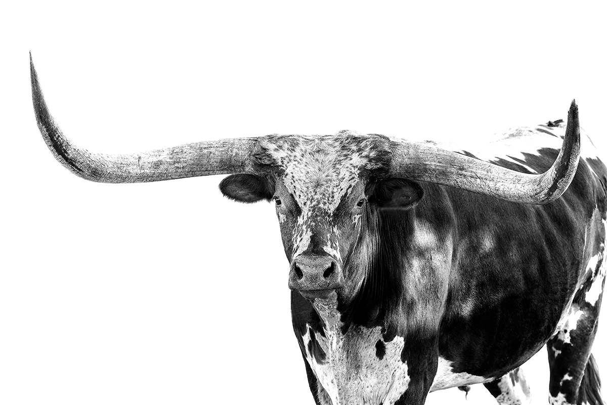 Soul of the Heartland