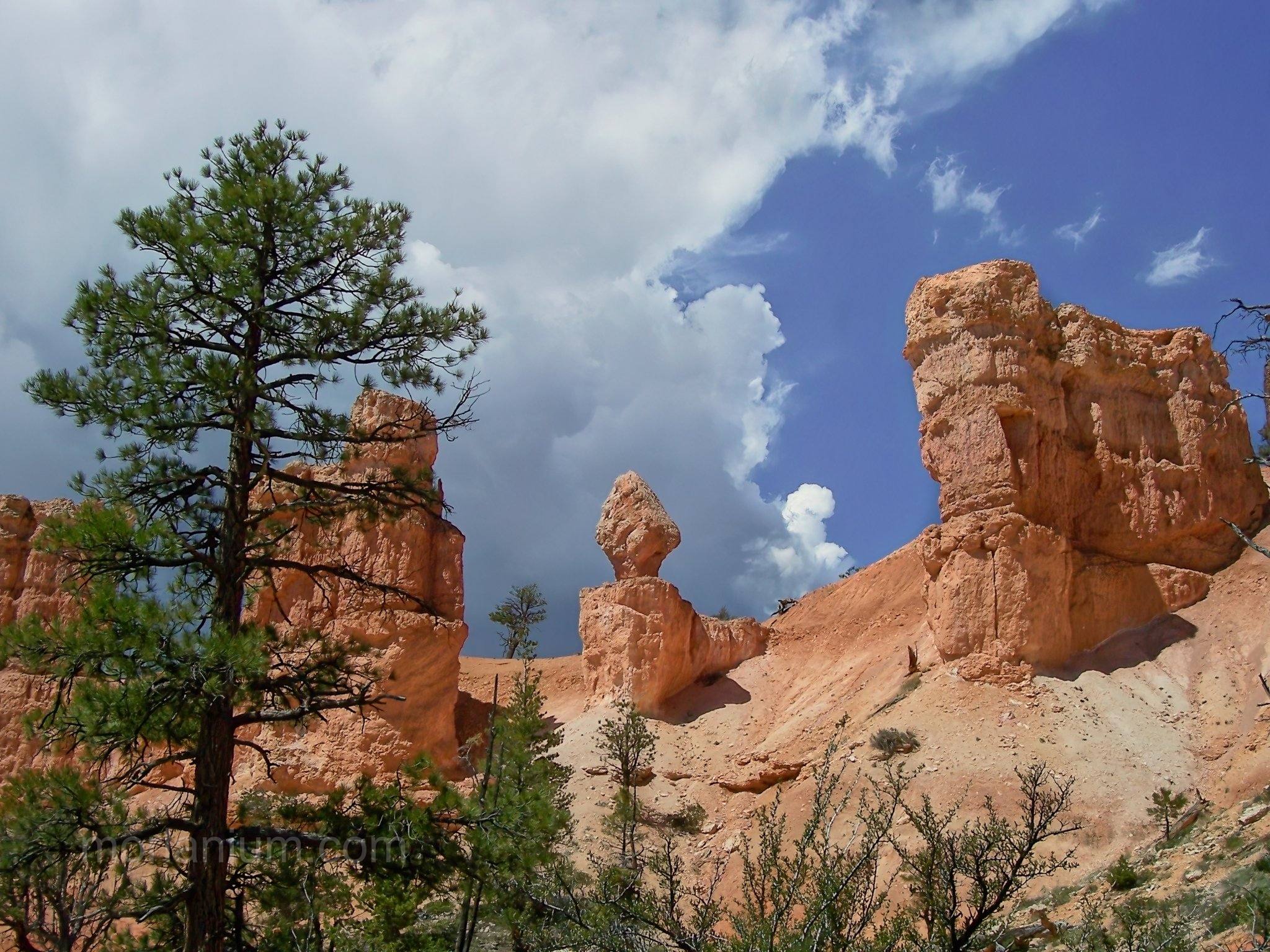 Utah