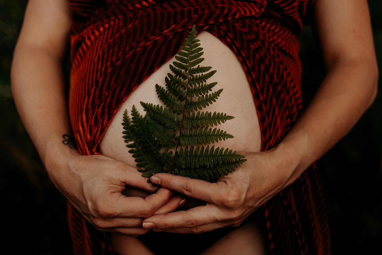 A fern held delicately in front of a pregnant belly