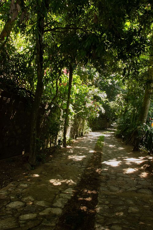 Kandy Hill Country