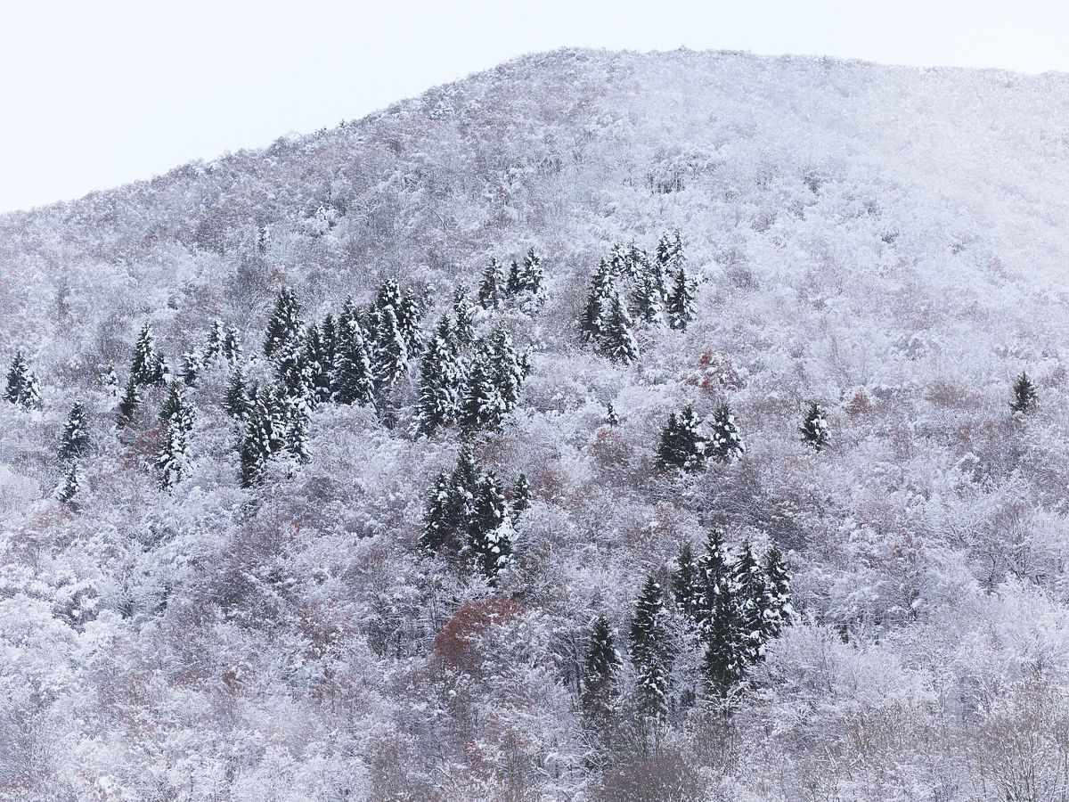Panorama di montagne alpine coperte di neve fresca, con cielo limpido e silenzio che avvolge la natura incontaminata