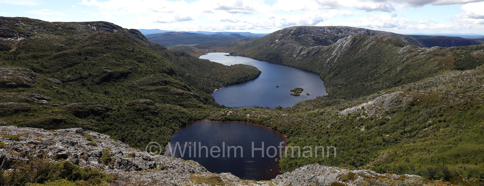 Face Track, Lake Wilks, Dove Lake, Cradle Mountain National Park, Cradle Mountain-Lake St Clair National Park, Cradle-Mountain-Lake-St.-Clair-Nationalpark, Parco nazionale del monte Cradle-lago St Clair, Tasmania, Tasmanien, Australia, Australien