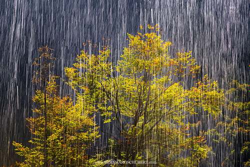 Wasser und Licht