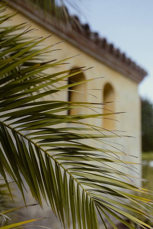 Matrimonio destination wedding La Cerbara colline Pesaro fotografie eleganti
