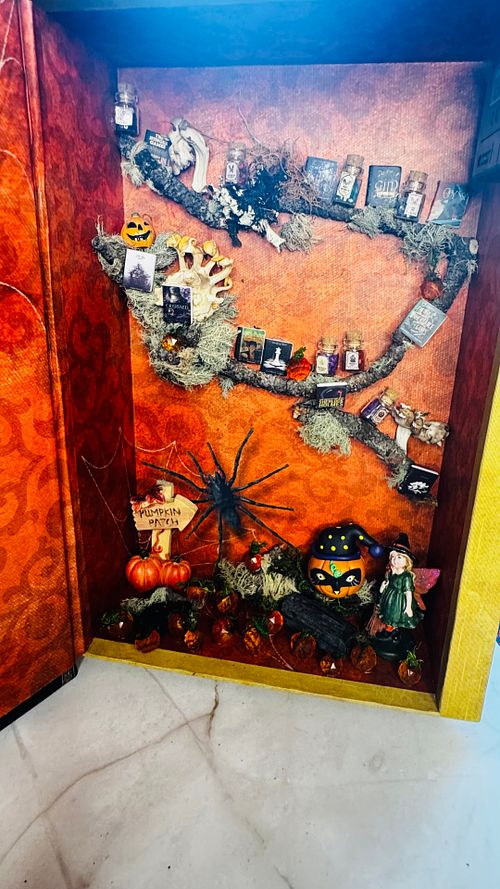 Purchase at Curioporium, Southington, Connecticut