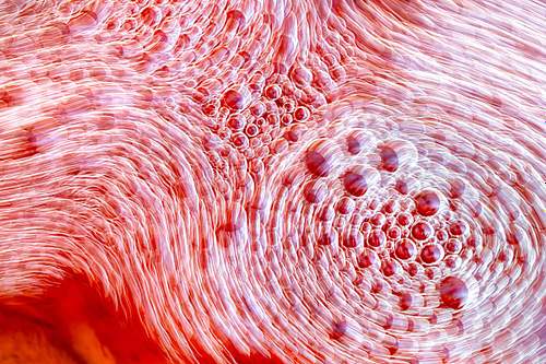 Blood flow