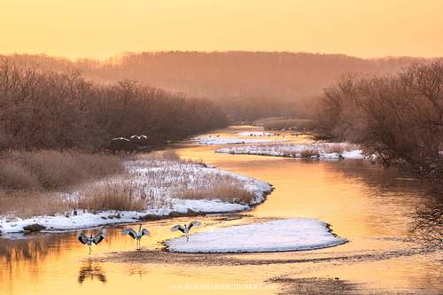 Winter Idyll
