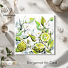 Bergamot Fruit and Flowers | Botanical Illustration | Floral Art Card | with Envelope