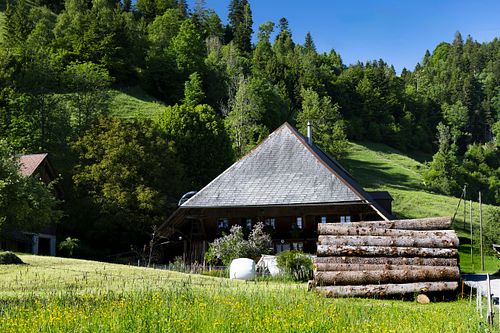 Holz vor der Hütte