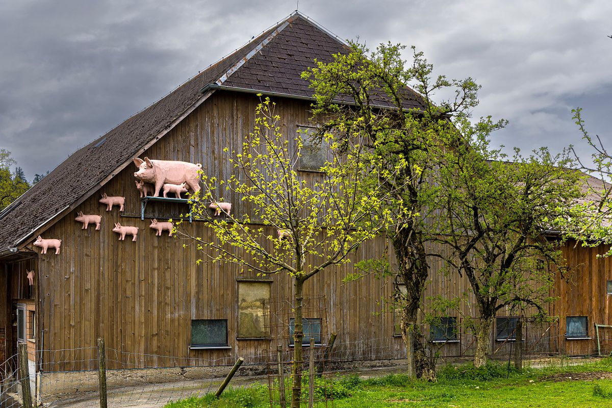 Auf der Nyffenegg