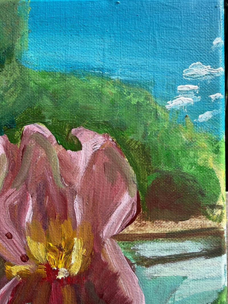Iris