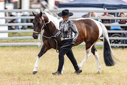 Agricultural Shows