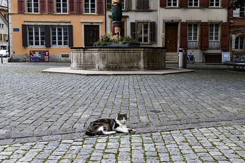 In der Altstadt von Biel
