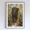 COLLECTION - GIANTS OF THE LAND VERTICAL - "Good Light" - LIMITED EDITION 10 of 10