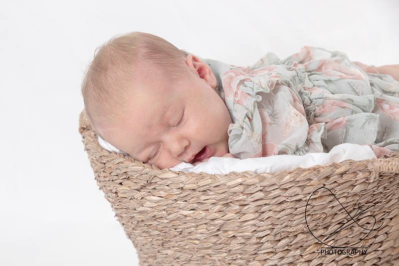 Jenny Hovland Ludvigsen