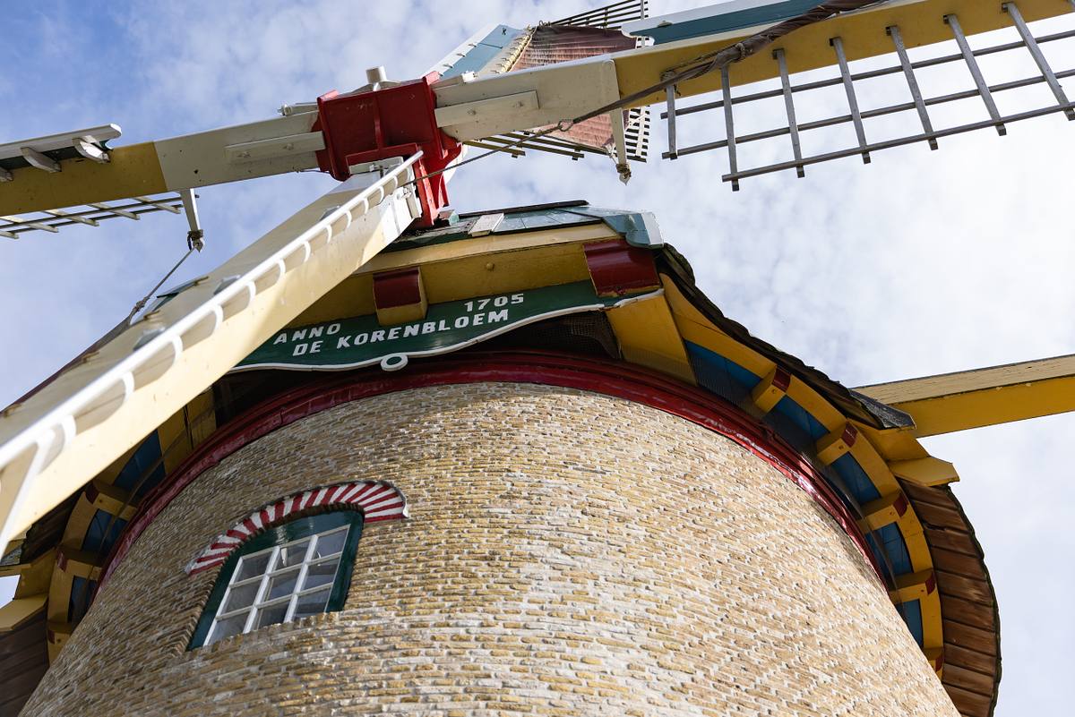Molen De Korenbloem in Sommelsdijk