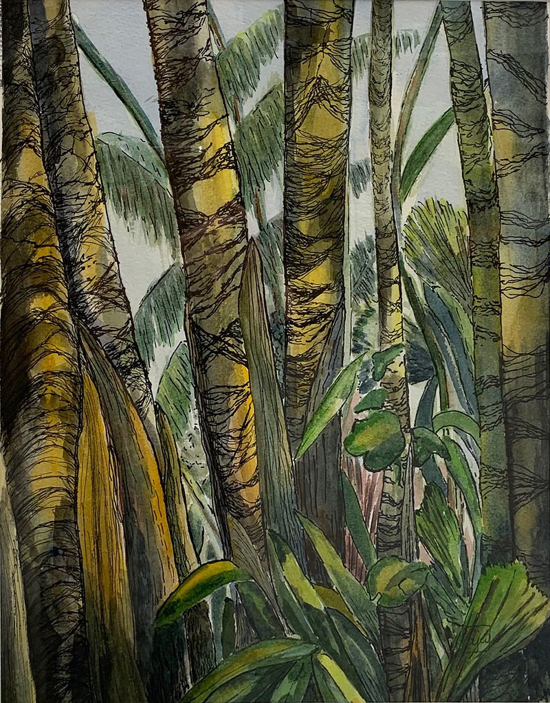 Denyse Ward