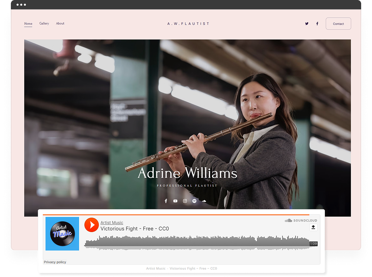 A musician's Pixpa website with an embedded player and a zero-commission merch store