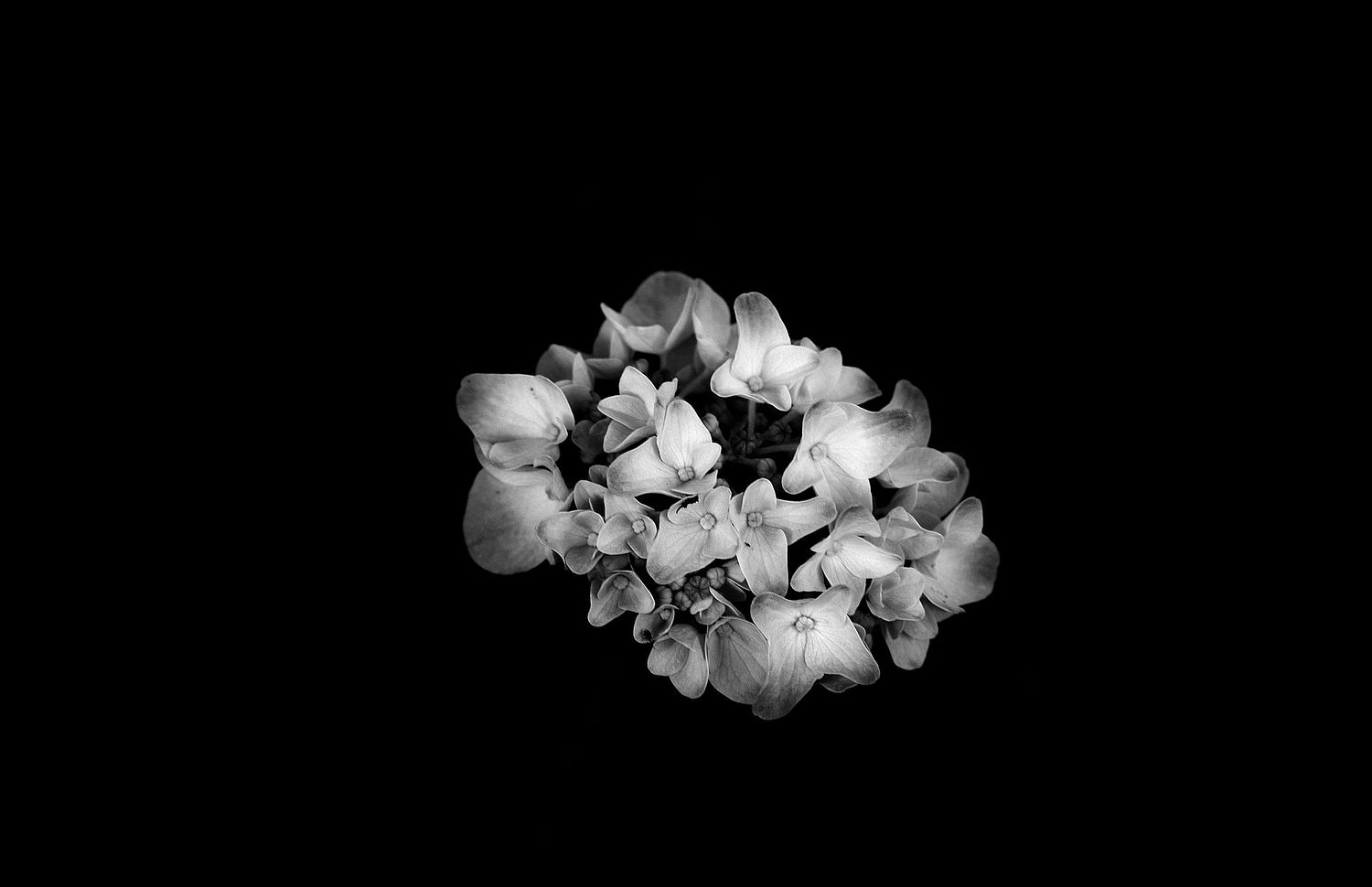 Bill Helton Photography