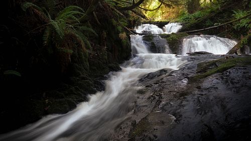 Waterfall, stream, river, creek, flowing water, long exposure, nature, landscape, travel, hiking, adventure, escape, light, rocks, moss, ferns, forest, rain, park, Washington, port Ludlow, pacific, northwest, light, dark, shadow, clover, perspective
