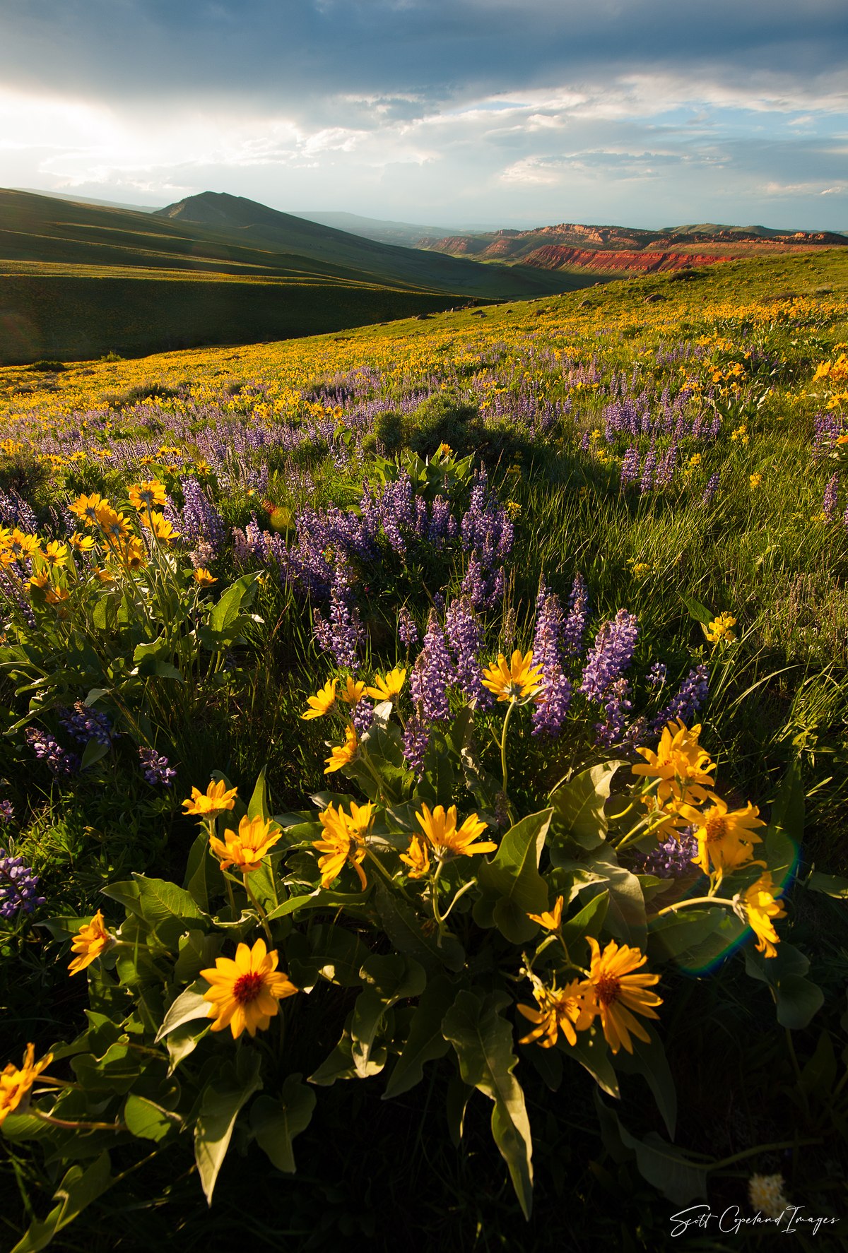 Red Canyon Spring