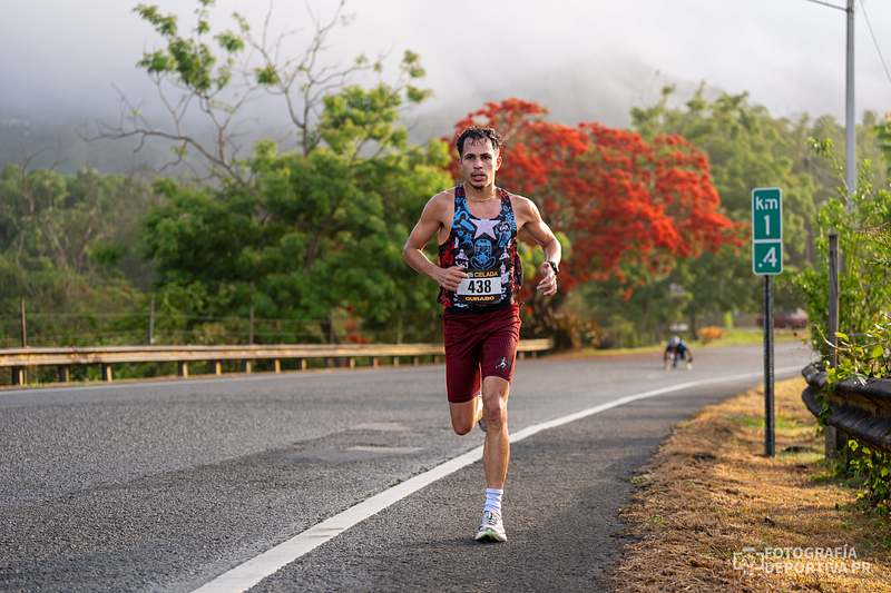 10K MB Celada