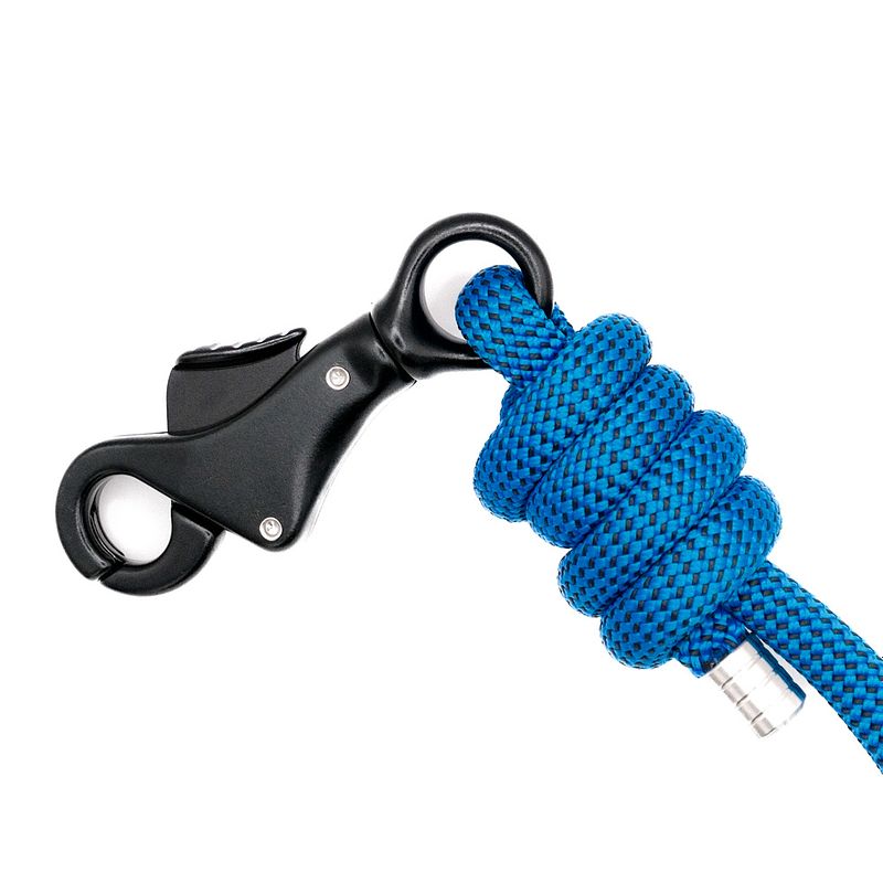 The Apex Lead™ - Buzzworthy Blue