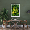 THE ONE - WILDLIFE & NATURE - "Vertical Climb" - LIMITED EDITION 5 of 5